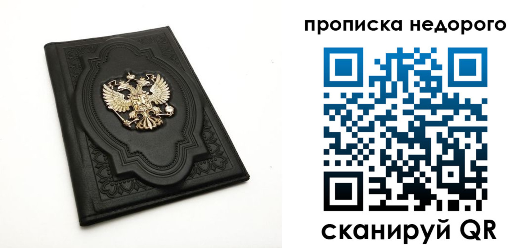 прописка для школы в Струнино